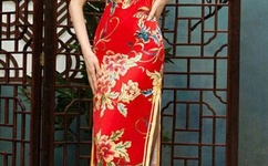 免费JYZZJYZZ在线播放